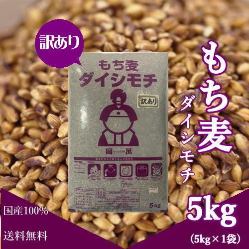  もち麦 ダイシモチ 5kg (5kg×1袋) 紫もち麦 岡山県産 送料無料