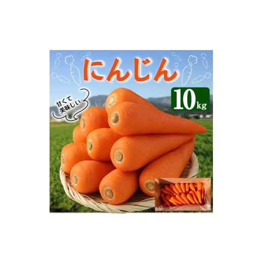 ふるさと納税 熊本県 西原村 にんじん 10kg