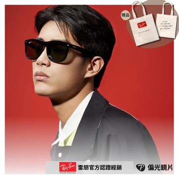 【RayBan 雷朋】經典粗版方形膠框偏光太陽眼鏡(RB4260D-601/9A 57mm 偏光鏡片)