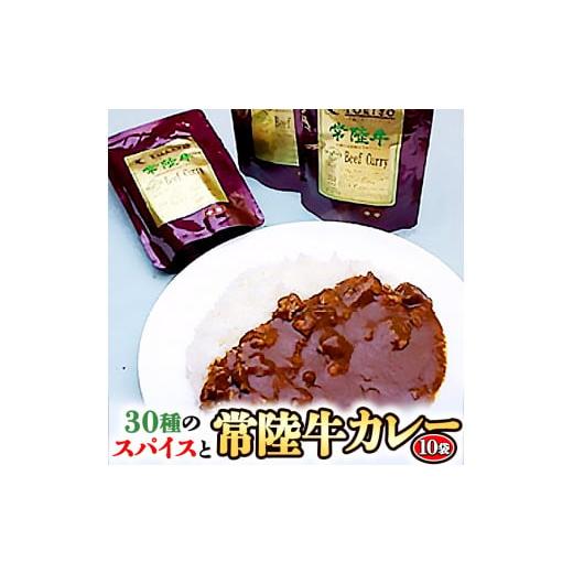 ふるさと納税 茨城県 大洗町 常陸牛 極上カレー 10人前 セット 30種のスパイス 超本格 レトルト食品 カレールー レトルトカレー カレー