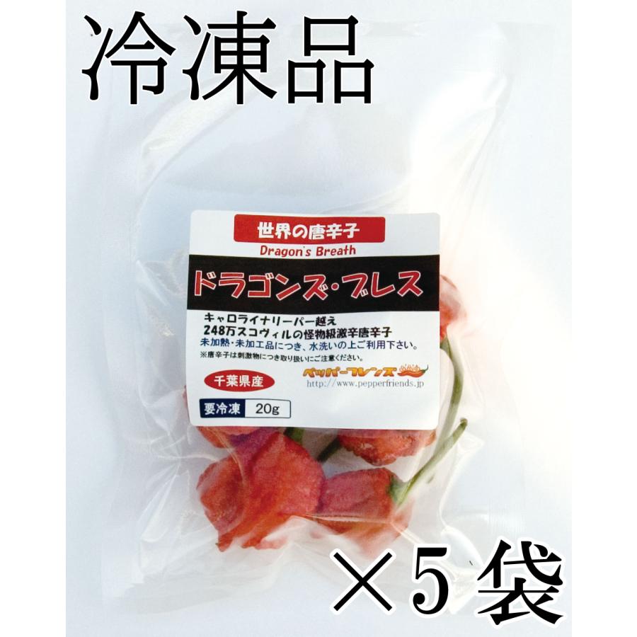 国産 激辛生唐辛子 ドラゴンズ・ブレス 冷凍品 20g 千葉県産