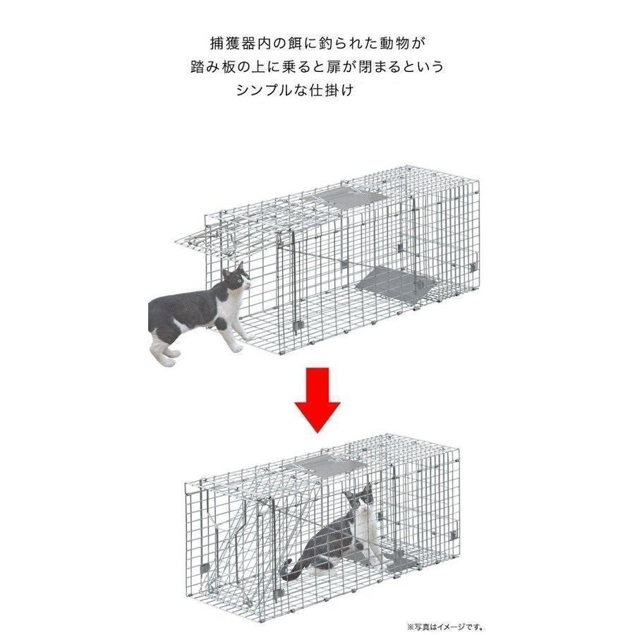 捕獲器 猫 アニマルトラップ トラップ Lサイズ 駆除 捕獲 踏板式 捕獲機 動物 罠 保護 庭 農業 アニマルキャッチャー