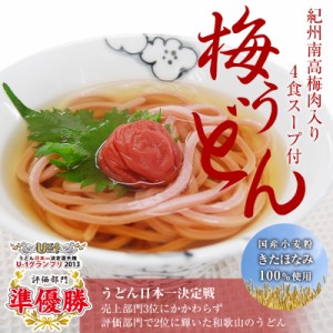 紀州 梅うどん（4食スープ付・麺400g）南高梅の梅肉を麺に練り込んだ、ふわり…梅風味のおなかにやさしいうどんです。