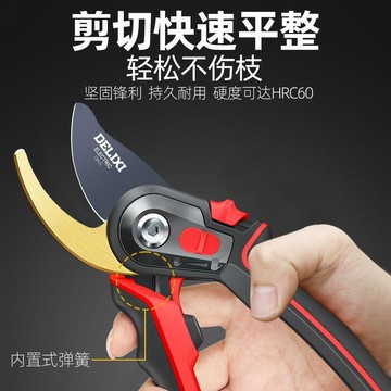 力花剪修枝剪果樹修剪樹枝園藝園林花藝剪子