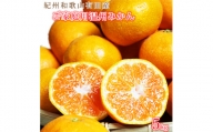 紀州有田産 濃厚完熟 温州みかん 5kg ※2023年11月下旬頃～2024年1月下旬頃に順次発送予定 ※北海道・沖縄・離島への配送不可   ミカン 蜜柑 柑橘 果物 フルーツ 国産 和歌山県広川町