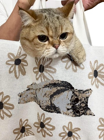 Loxe 香港製造 Tote Bag 手提包 貓貓狂想曲