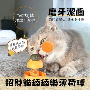 【現貨/隔日達】小貓玩具 貓薄荷玩具 貓咪搖搖樂 小貓自嗨解悶神器 逗貓玩具 貓咪啃咬玩具 磨牙潔齒 彈簧貓玩具 逗貓球
