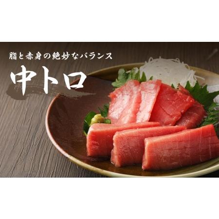 ふるさと納税 長崎県産 本マグロ2種盛り「中トロ・赤身」約550g 長崎県時津町