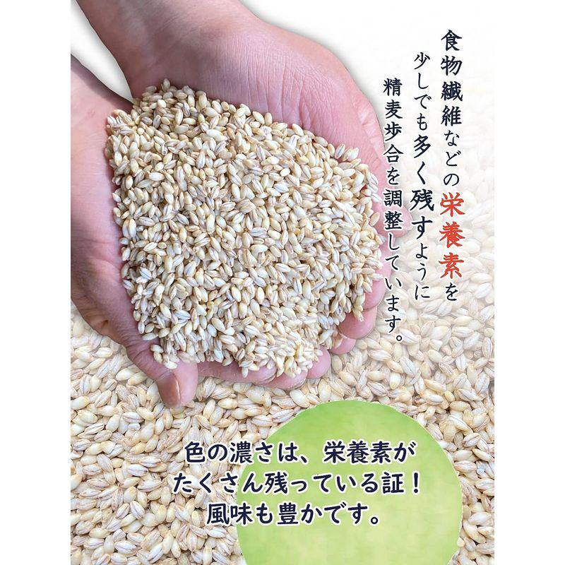 信州ファーム荻原 もち麦 3kg (1kg×3) 長野県 信州産 国産 精麦 健康 食物繊維 大麦 もちもち