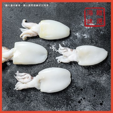 【海味嚴選】一口小花枝／300g／799免運／小花枝／墨魚仔／熱炒／燒烤／火鍋／炒三鮮／進口海鮮／海鮮宅配