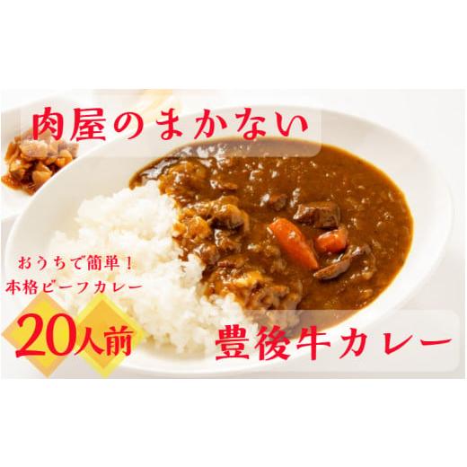 ふるさと納税 大分県 国東市 肉屋のまかない豊後牛カレー4.6kg（230g×20P）_1794R