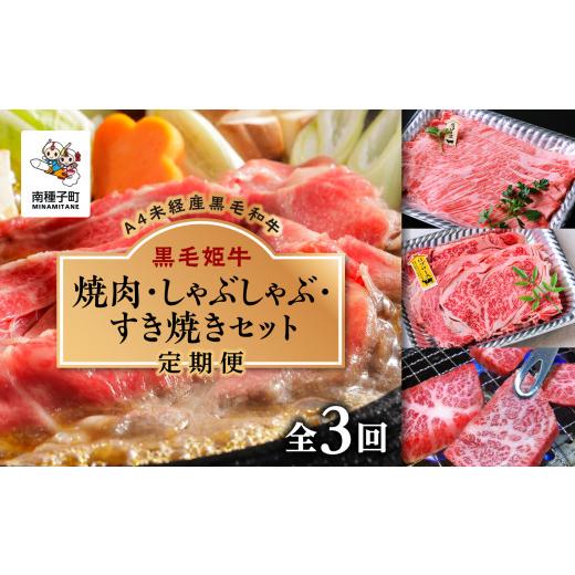 ふるさと納税 鹿児島県 南種子町 焼肉・しゃぶしゃぶ・すき焼きセット（全3回）