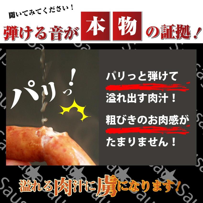 ソーセージ ウインナー 100ｇ 惣菜 ジューシー 粗挽き 粗びき あらびき ポーク 豚 バーベキュー 焼肉 焼くだけ 弁当＊当日発送対象