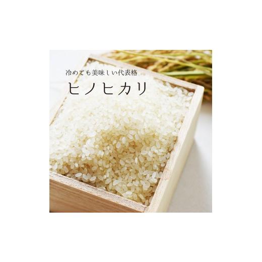 ふるさと納税 山梨県 甲斐市 『３ヶ月連続お届け』ヒノヒカリ　計15kg　5kg×3ヶ月　[山梨 お米 定期便]