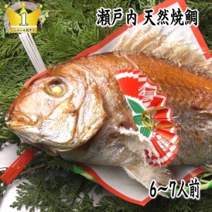 　　天然焼き鯛 １．２kgアップ お食い初め お祝い用 炭火焼の祝い鯛  淡路島・