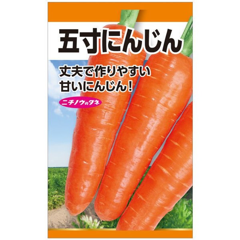 日本農産種苗ニチノウのタネ 五寸人参（時無） 日本農産種苗 4960599107404 1セット（5袋入）（直送品） 通販  LINEポイント最大0.5%GET | LINEショッピング