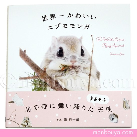 モモンガ グッズ 写真集 動物 本 世界一かわいい エゾモモンガ フルカラー ページ メール便発送可 通販 Lineポイント最大0 5 Get Lineショッピング