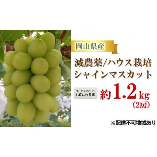 ふるさと納税 岡山県 里庄町 ぶどう 2024年 先行予約 シャイン マスカット 約1.2kg 2房 減農薬／ハウス栽培 ブドウ 葡萄 岡山県産 国産 フルーツ 果物 ギフト …