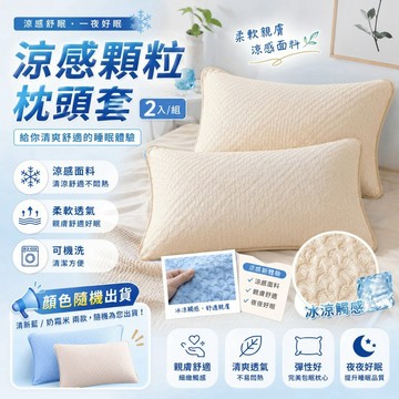 [台灣發貨]兩入組 顆粒涼感枕頭套 45x72 冰感透氣 信封式枕套 可機洗 降溫柔軟親膚 涼感寢具 浮雕織紋 臥室寢具