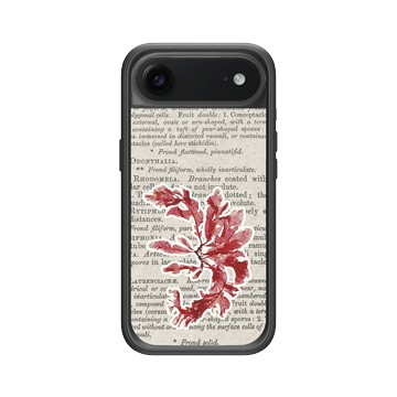 iPhone Air Mod NX -邊框背蓋組合 (相機按鈕) 黑 - The Seaweed Studio - 海藻標本集