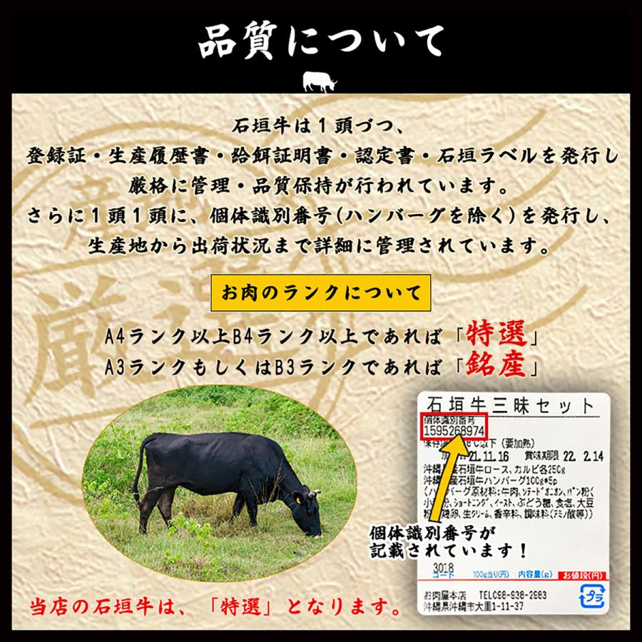 お歳暮 石垣牛 あぐー豚 ステーキセット  送料無料 沖縄県産和牛 あぐー アグー アグー豚 沖縄 グルメ お取り寄せ