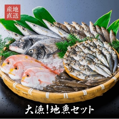 獲れたら発送!地魚セット