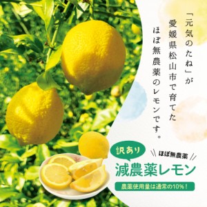 国産レモン ほぼ 無農薬 レモン 3kg 送料無料 国産 れもん 愛媛県産 減農薬 自家栽培 訳あり 元気のたね 【年内はグリーンレモンとなりま