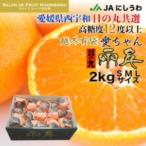 [予約 2024年2月1日-2月15日の納品] 日の丸 超冬有袋みかん 愛ちゃん 約2kg 化粧箱 みかん 愛媛県西宇和 蜜柑 ギフト 樹上熟成みかん 完