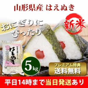 新米 米 5kg 山形県産 はえぬき 令和5年産 お米 5kg プレミアム特典 送料無料 北海道・沖縄配送不可 即日発送 クーポン対象 5キロ 安い