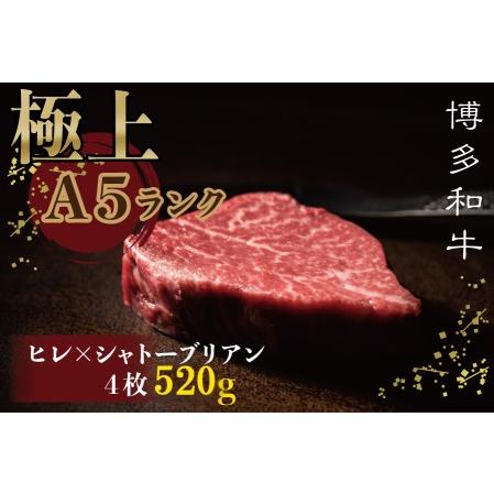 ふるさと納税 ヒレ×シャトーブリアンステーキ520ｇ 2T8 福岡県川崎町