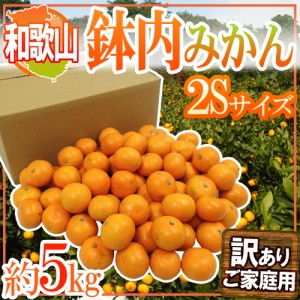 和歌山・有田産 ”鉢内みかん” 訳あり 2Sサイズ 約5kg はちうちみかん 送料無料