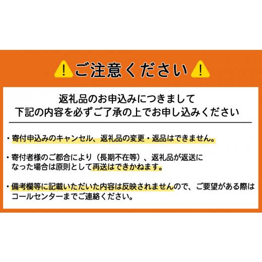 ふるさと納税 北海道 天塩町 べこちちFACTORY★モッツァレラチーズセット