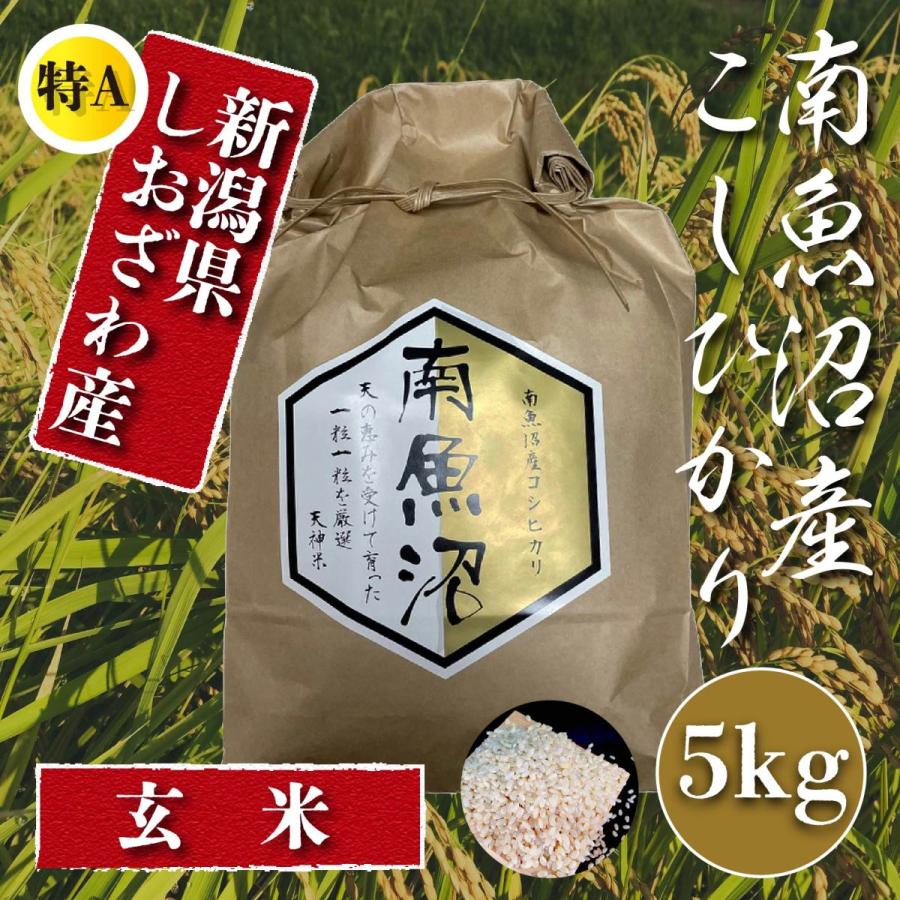  米  5kg 新潟 南魚沼 塩沢産 コシヒカリ 生産者限定米 令和5年産