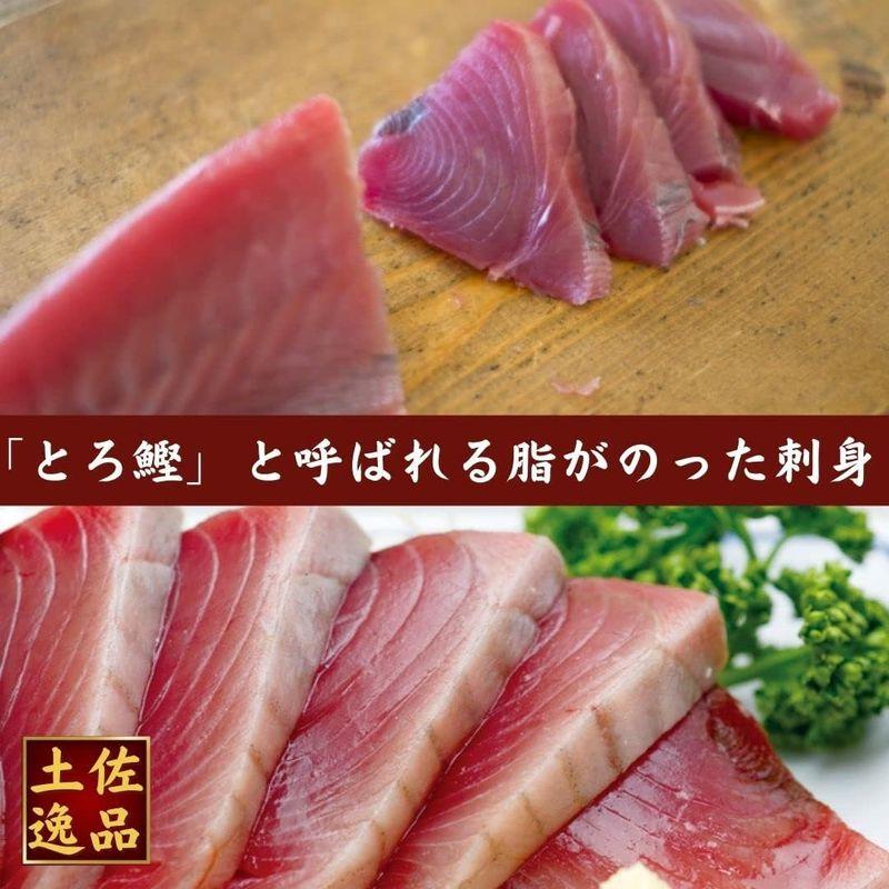 戻り鰹 刺身 とろカツオ 750g 高知 池澤鮮魚 誕生日 ギフト (贈答用ギフト包装)