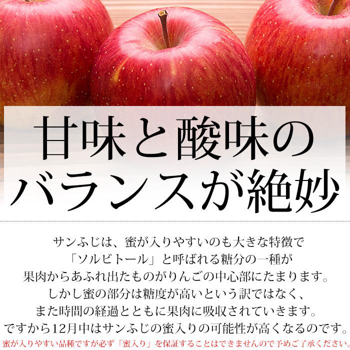 りんご 青森県産 サンふじ 訳あり 約5kg 16〜20玉
