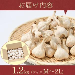 ふるさと納税 ＜先行予約受付中！2024年5月より準備ができ次第発送＞學山堂のにんにく(計1.2kg) 鹿児島 国産 にんにく ニンニク 大.. 鹿児島県肝付町