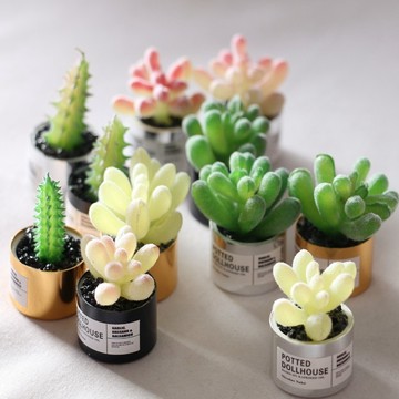 【迷你造景！】迷你多肉植物 GSC配件 OB11擺件 娃娃屋植物 金屬小花盆 微縮盆栽 Dollhouse模型 拍照道具