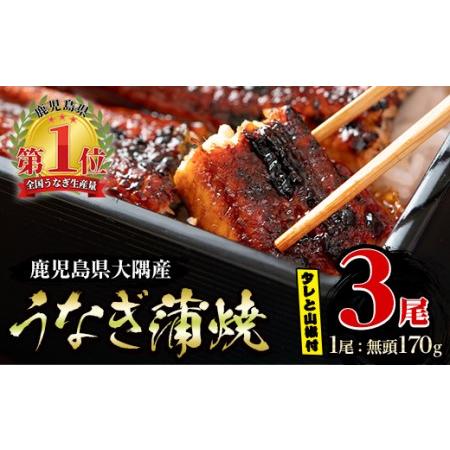 ふるさと納税 1387 大隅特産うなぎ蒲焼３尾（510ｇ） 鹿児島県鹿屋市