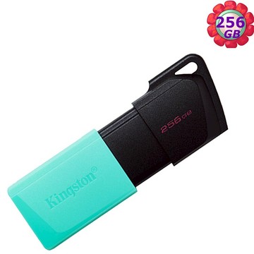Kingston 256GB 256G【DTXM/256GB】DataTraveler Exodia M USB 3.2 金士頓 隨身碟｜APP賺6%點數回饋