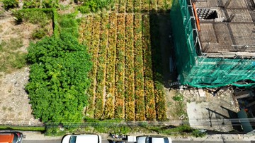 內埔正核心龍泉漂亮方正建地釋出｜屏東縣內埔鄉龍潭段