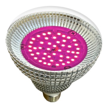 JIUNPEY 君沛光電 植物燈泡 15W E27  紅藍混光  1顆