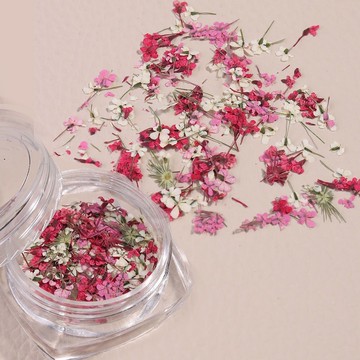 💗台灣出貨💗ins日系乾花春光旖旎 花園風田園碎花日式花瓣diy指甲裝飾品