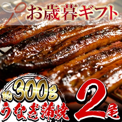 厳選!鹿児島県産うなぎ蒲焼2尾(約300g)