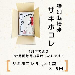 ふるさと納税 特別栽培米サキホコレ5kg×9回 秋田県にかほ市
