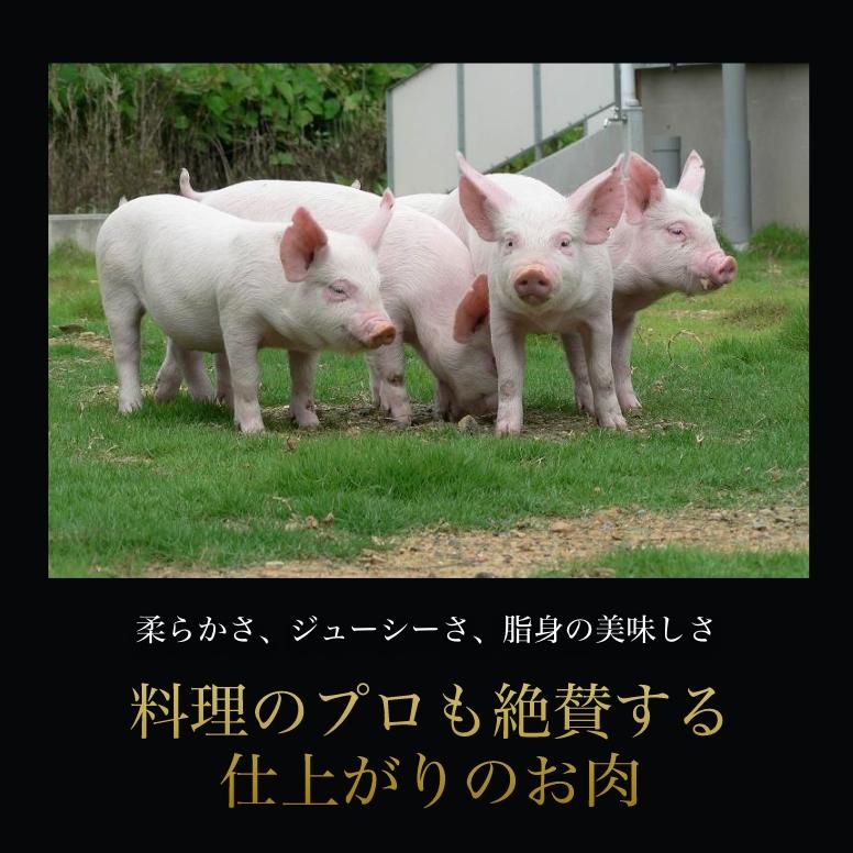 豚肉 焼肉 愛媛 甘とろ豚 ギフト 肩ロース 焼肉用（500g） 送料別途 取り寄せ 贈答 贈答品 ギフト