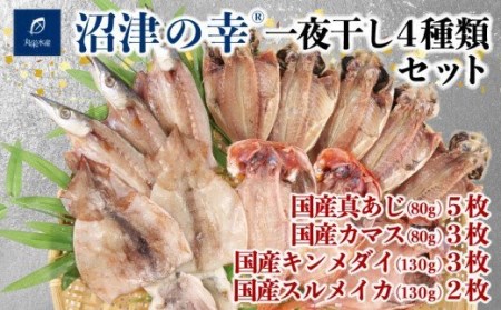 干物 魚 一夜干し 沼津の幸 真あじ 金目鯛 かます イカ 4種類 セット  真鯵 キンメダイ (G)