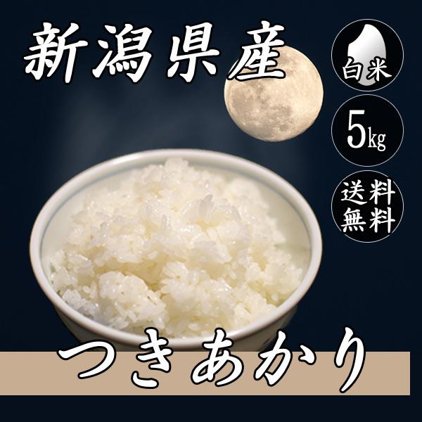 お米 5kg 新潟産 つきあかり 5kg×1袋 送料無料 令和5年産 米 白米