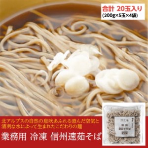 信州速茹そば 200g×5玉×4袋 全部で20玉入り4kg 業務用 冷凍麺 しんしゅうはやゆでそば 蕎麦 簡単調理 お徳用 まとめ買い 仕入れ 澤志庵