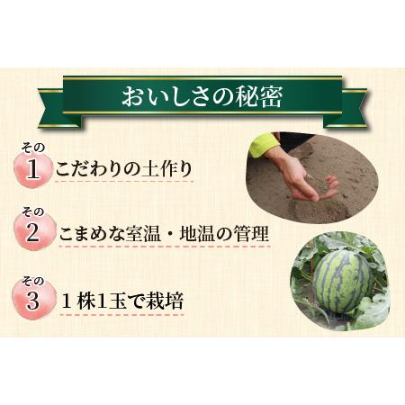 ふるさと納税 大玉すいか『祭ばやし』 1玉（7〜8kg）スイカが持つ食味を最大限まで極めた大きめ品種！ ／ 果物 フルーツ 西瓜 ス.. 福井県あわら市