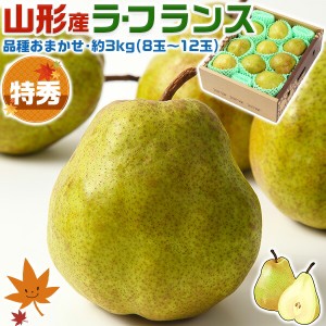 甘いで評判！ ラ・フランス 特秀 約3kg （8玉～12玉入）高糖度・高級ラフランス 品種お任せ・プレゼント・クリスマス・冬ギフト・…